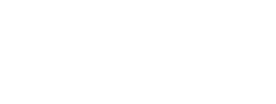 Shopify Partner
